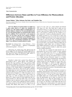Differences between Maize and Rice in N-use