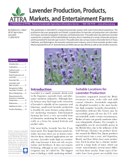 Lavender Production, Products, Markets, and