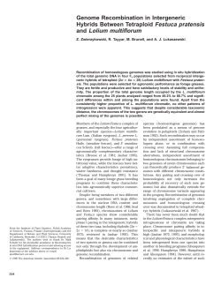 Genome Recombination in Intergeneric Hybrids