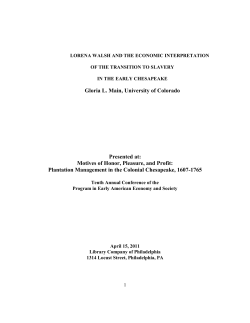 lorena walsh and the economic interpretation