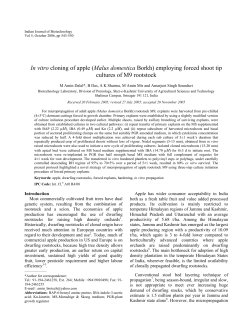 In vitro cloning of apple (Malus domestica Borkh) employing forced