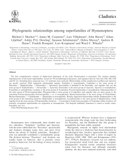Phylogenetic relationships among superfamilies of