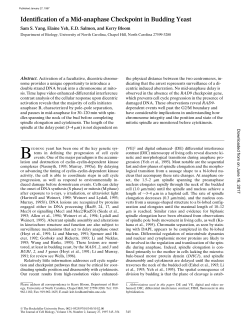 Identification of a Mid-anaphase Checkpoint in Budding Yeast