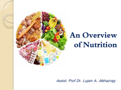 An Overview of Nutrition