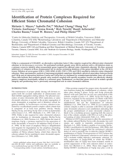 Identification of Protein Complexes Required for Efficient Sister