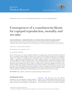 Consequences of a cyanobacteria bloom for copepod reproduction