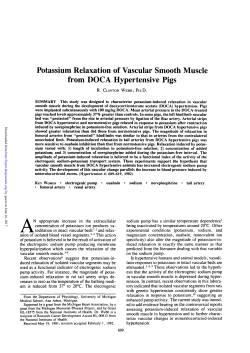 Potassium Relaxation of Vascular Smooth Muscle