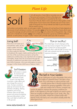 Page 6 - Nature`s Web