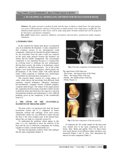 a 3d graphical modelling method for human femur bone