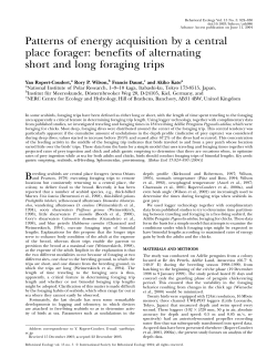 Patterns of energy acquisition by a central place forager: benefits of