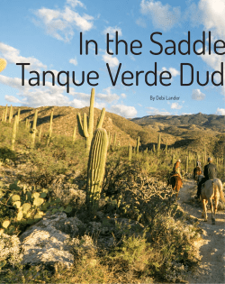 By Debi Lander - Luxe Beat Magazine