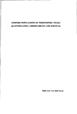 oospore populations ofperonospora viciae: quantification