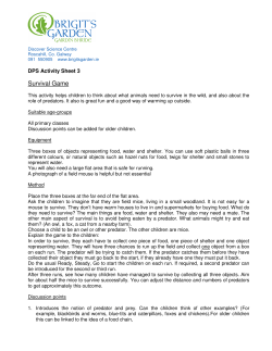 Survival Game - Discover Primary Science