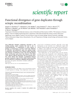 Functional divergence of gene duplicates through