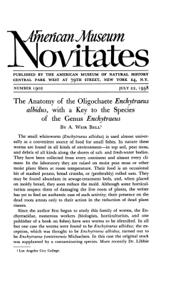 lk ieiianJluseum - AMNH Library Digital Repository