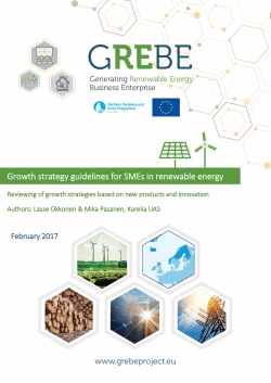 Growth strategy guidelines for SMEs in renewable