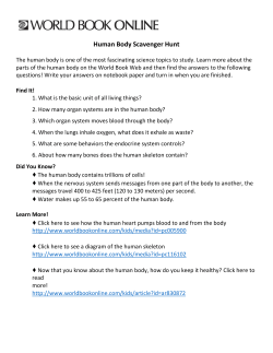 Human Body Scavenger Hunt