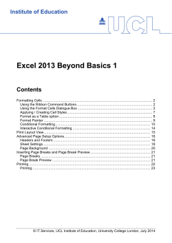 Excel 2013 Beyond Basics 1