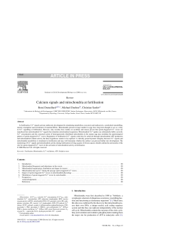 Calcium signals and mitochondria at fertilisation