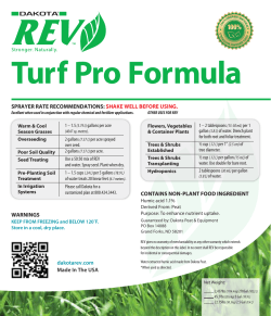 DP-Turf Pro 2.5gal-LR