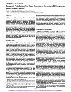 Therapeutic Perturbation of the Tumor