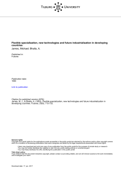 Tilburg University Flexible specialization, new technologies and