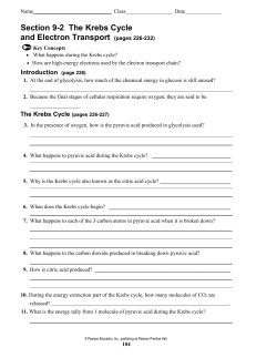 Section 9-2 The Krebs Cycle and Electron Transport (pages 226-232)
