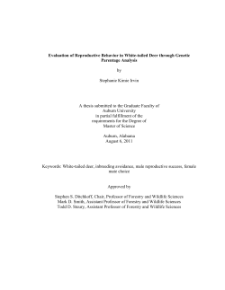 Evaluation of Reproductive Behavior in White
