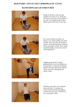 Download/View - Stevenage Chiropractic Clinic