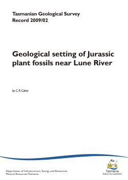 Geological setting of Jurassic plant fossils near Lune River