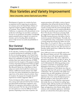Chapter-2-Rice-Varieties / 0.15MB