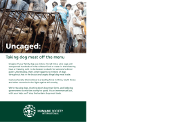 HSI UK Dog Meat Trade Leaflet - Humane Society International