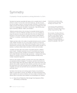 Symmetry - Jed Brubaker
