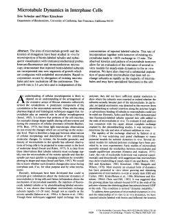 Microtubule Dynamics in Interphase Cells
