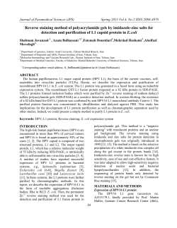 Reverse staining method of polyacrylamide gels by imidazole