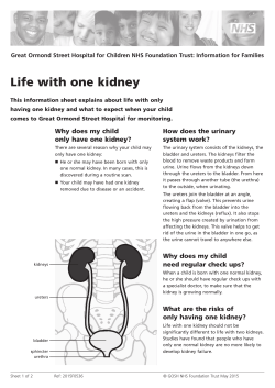 Life with one kidney - Great Ormond Street Hospital