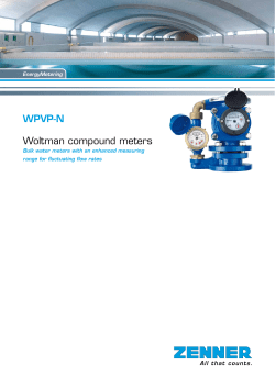 WPVP-N Woltman compound meters