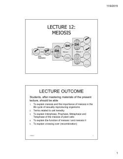 Lect12-Meiosis-2016
