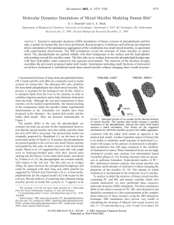 Molecular Dynamics Simulations of Mixed Micelles Modeling