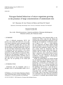Nitrogen-limited behaviour of micro