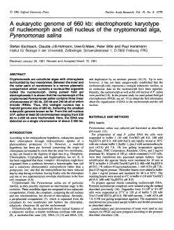 A eukaryotic genome of 660 kb: electrophoretic