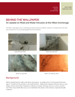 behind the wallpaper