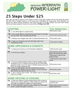 25 Steps Under $25 - Kentucky Interfaith Power and Light