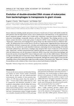 Evolution of double‐stranded DNA viruses of eukaryotes: from