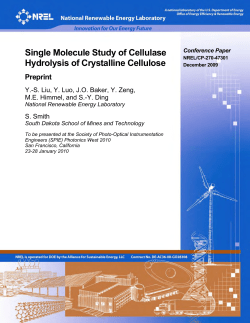 Single Molecule Study of Cellulase Hydrolysis of Crystalline Cellulose