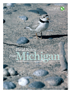Excitement - The Nature Conservancy