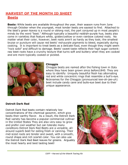 HARVEST OF THE MONTH ID SHEET Beets