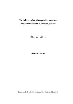 The influence of developmental temperatures on division of