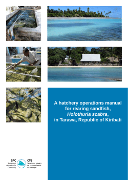 A hatchery operations manual for rearing sandfish, Holothuria