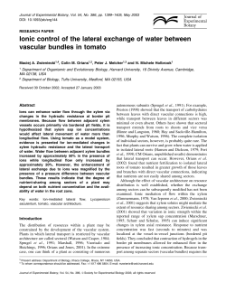 Ionic control of the lateral exchange of water between vascular